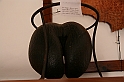 Kanary_2010 172
